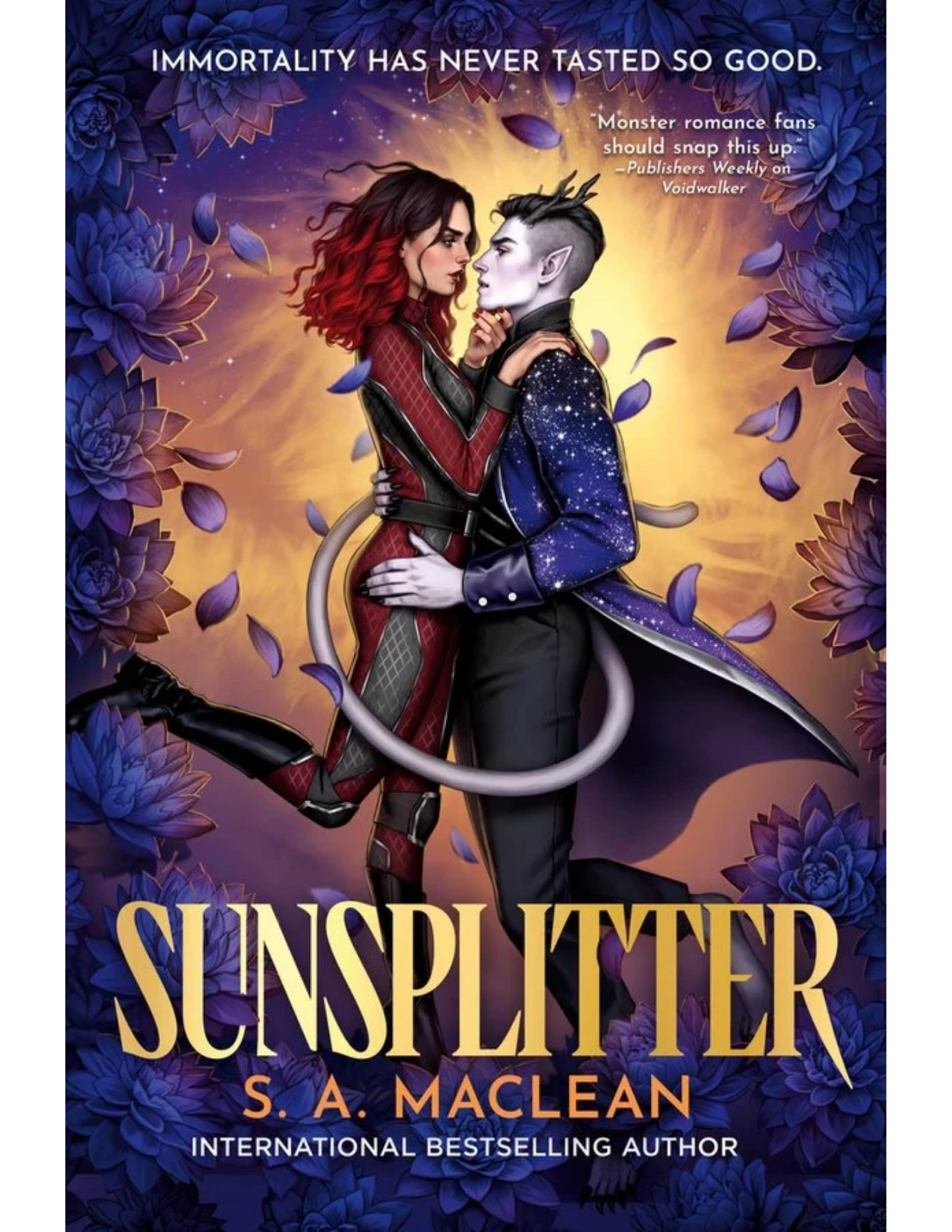Sunsplitter (Beasts of the Void #2)