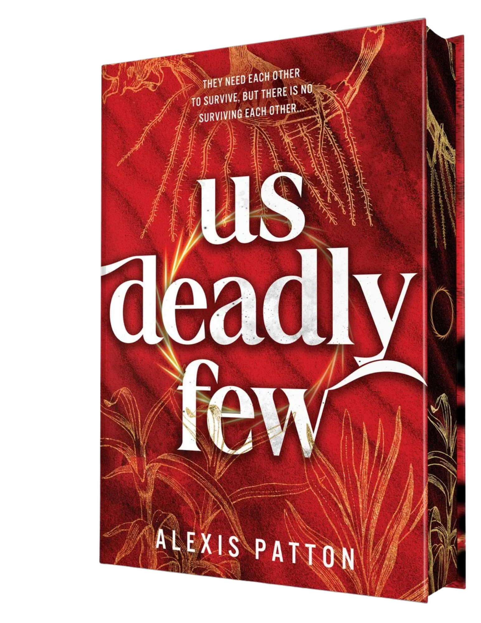 Us Deadly Few (Us Dark Few #2)