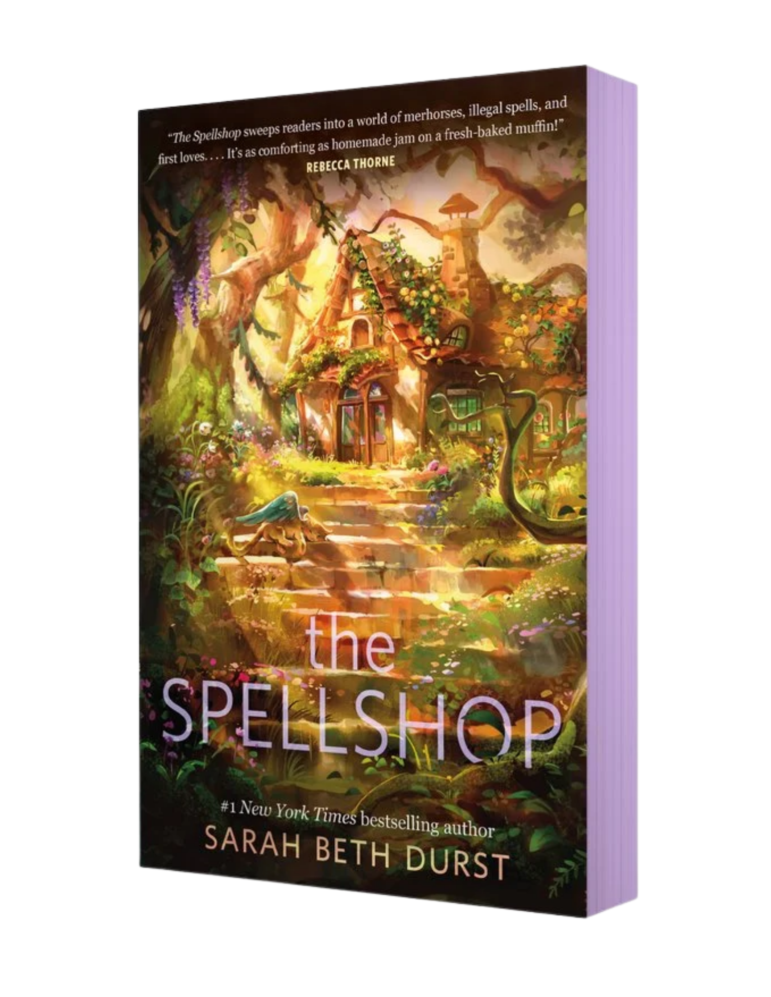 The Spellshop (Spellshop #1)