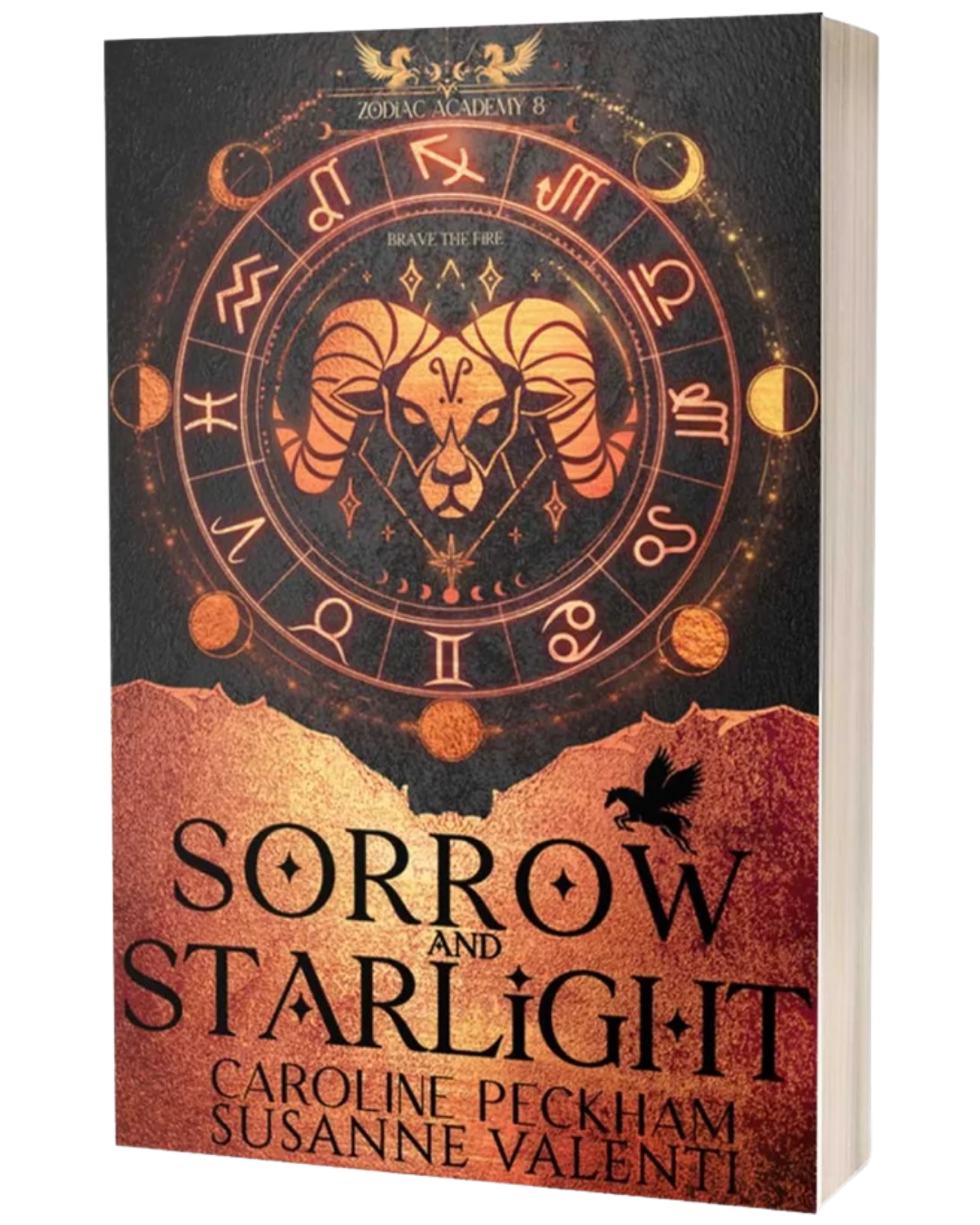 Zodiac Academy 8: Sorrow and Starlight
