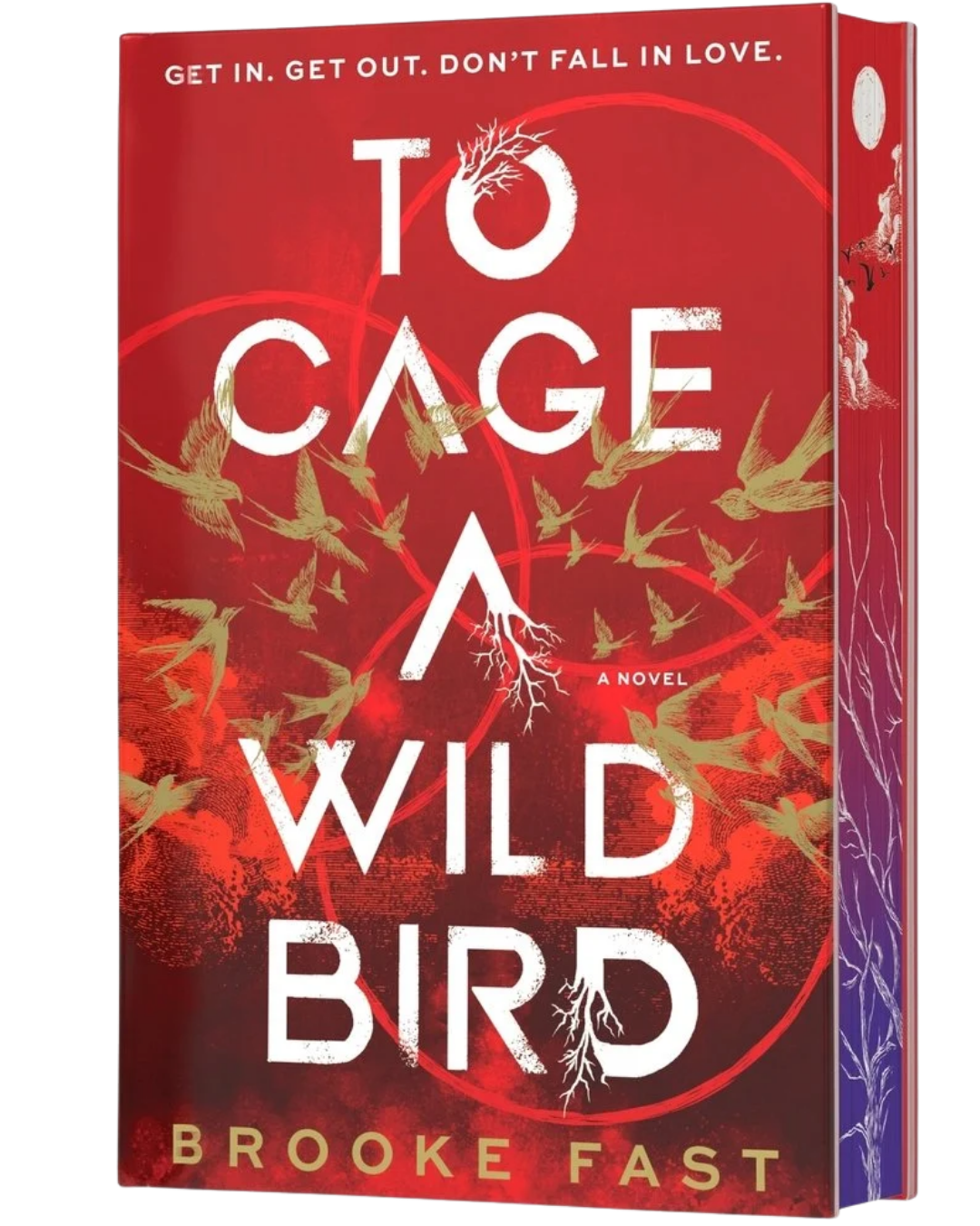 To Cage A Wild Bird (Divided Fates Book 1) **Limited Deluxe Edition**